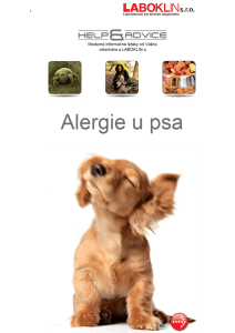 allergie_hund_sk_10-14_end