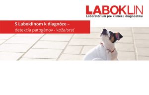 Flowchart_Erregernachweise_Haut_und_Haare_DIN_A4_EN.pdf