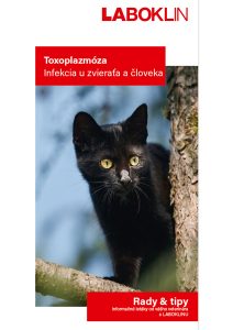 flyer_toxoplasmose_sk_0325