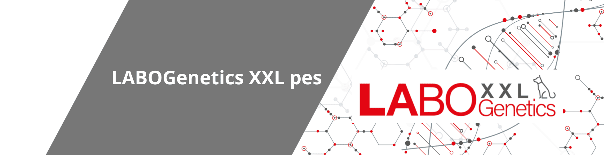 xxl-pes-web
